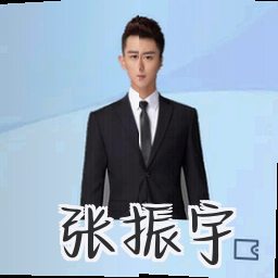 张振宇